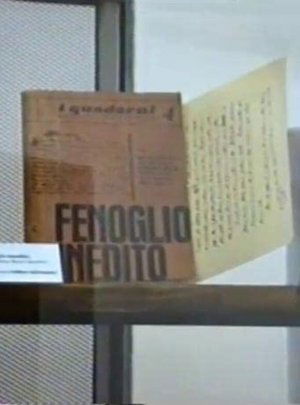 Poster Una questione privata. Vita di Beppe Fenoglio 1998