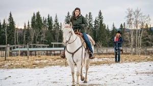 Heartland – Paradies für Pferde: 10×18