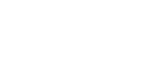 Pokémon: I segreti della giungla (2020) ITA Streaming official logo
