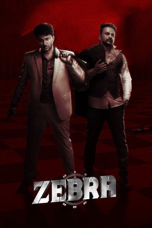 Zebra 17