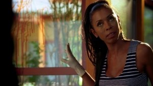 CSI: Miami: 6×5