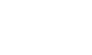 /lCNzmWom9pgcf69ObSouKqiUant.png