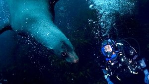 Oceans Southern Ocean