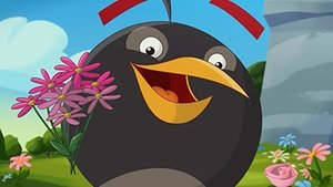 Angry Birds Toons: 2×24