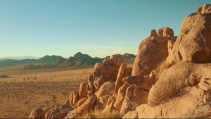 No Trespassing: A Survey of Environmental Art