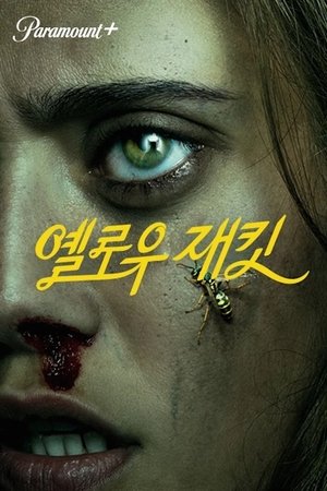 Image 옐로우재킷