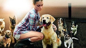 The Dog Lover (2016)