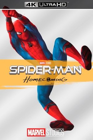 poster Spider-Man: Homecoming