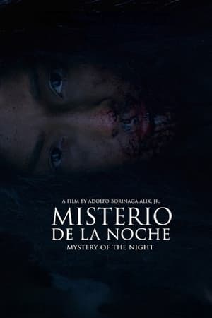 Mystery of the Night poster