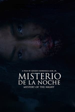 Poster Misterio de la Noche 2019