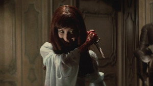 The Vampire Doll 22