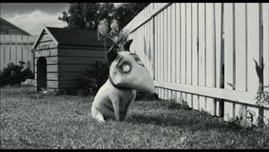 Miniatures in Motion: Bringing Frankenweenie to Life film complet