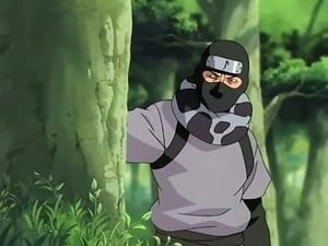Naruto Clássico Dublado – Episódio 70 – O Ocioso é Posto em Ação: Chega de Preguiça!