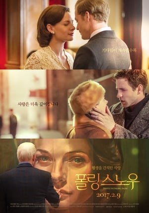 Poster 폴링 스노우 2016