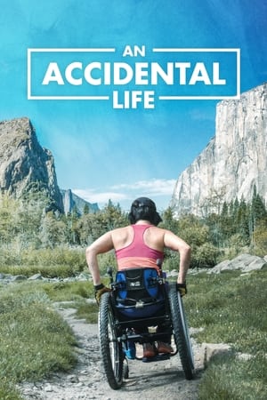 Poster An Accidental Life (2022)