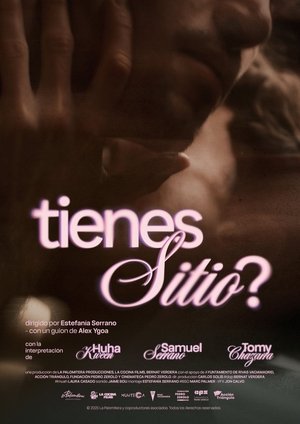 Póster oficial de la película Tienes sitio?