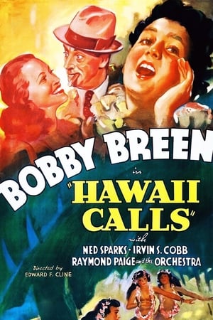 Hawaii Calls poster