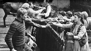 Sami swoi cały film