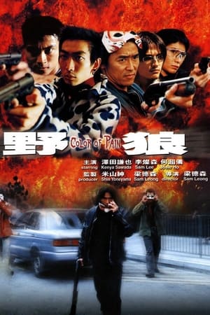 Poster Color of Pain (2002)