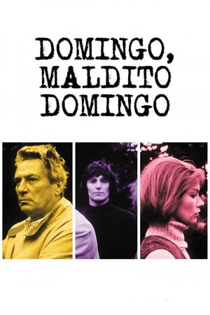 Poster Domingo, maldito domingo 1971