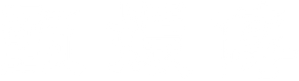 Ảnh 113