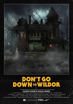 Poster Don’t Go Down to Wildor 2018