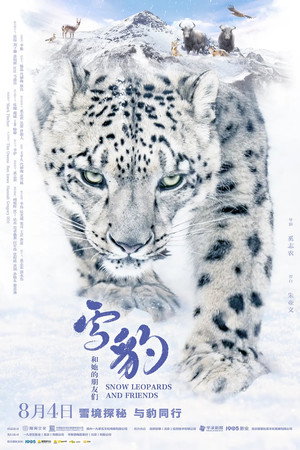 Snow Leopards and Friends
