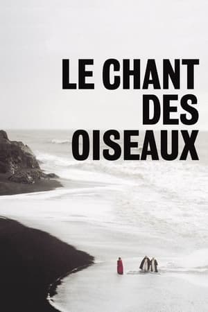 Image Le chant des oiseaux