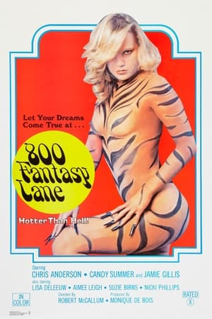 Poster 800 Fantasy Lane (1979)