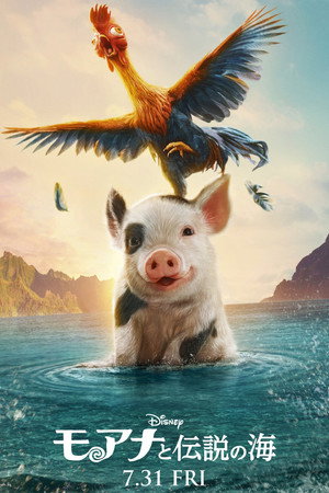 <Images posters