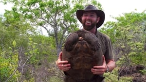 Image The Galapagos Giant