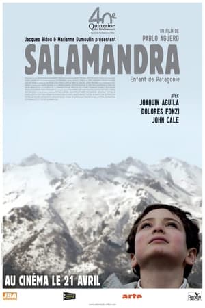 Poster Salamander (2008)