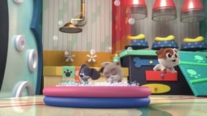 Puppy Dog Pals Raiders of the Lost Bark