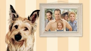 مشاهدة فيلم Because of Winn-Dixie 2005 مترجم