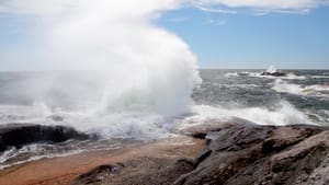 Wild Baltic Sea From Estonia to Finland