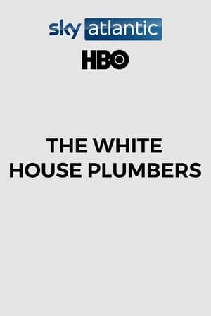 The White House Plumbers (1970) | Team Personality Map