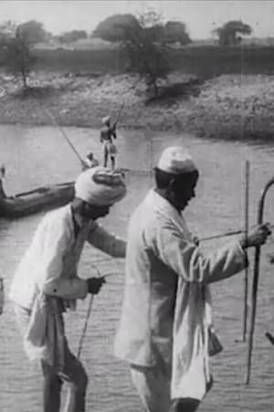 Image Eine Partie Fischfang bei dem Maharadscha von Kapurthala, Indien