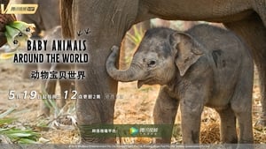 Baby Animals Around the World film complet