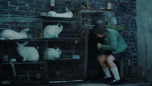 La casa de los conejos (2020)
