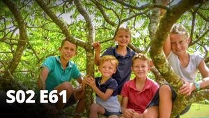 Episode 61