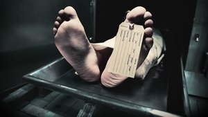 Secrets of the Morgue - 2018 Secrets of the Morgue - 2018