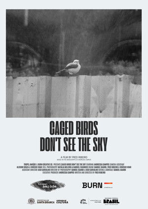 Pássaros Enjaulados Não Veem o Céu