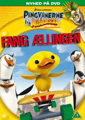 Poster Pingvinerne Fra Madagascar: Fang Ællingen 2010