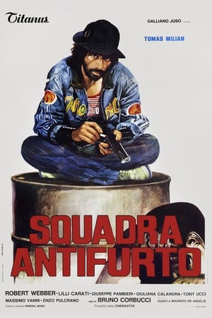 Squadra antifurto poster