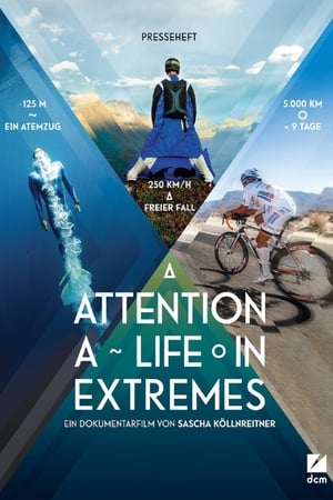 Poster Atenție - o viață în extreme 2013