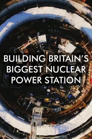 Image Building Britain's Biggest Nuclear Power Station
