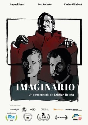 Image Imaginario