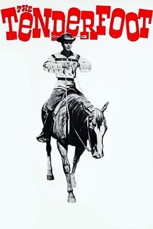 Poster The Tenderfoot 1964