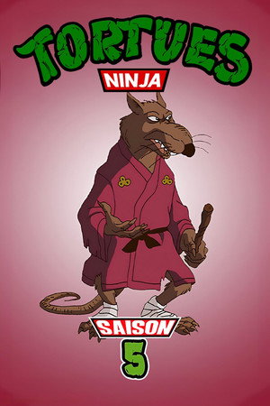 Les Tortues Ninja - Saison 5 - poster n°4