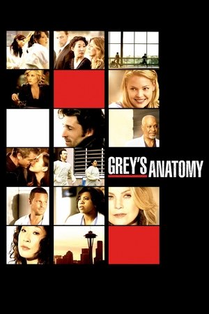 poster Grey's Anatomy